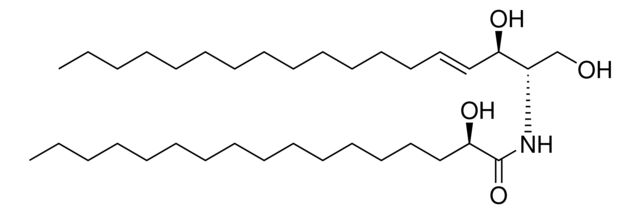 17:0(2R-OH) Ceramide