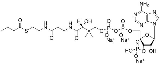 04:0 Coenzyme A