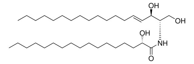 17:0(2S-OH) Ceramide