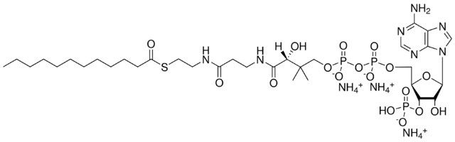 12:0 Coenzyme A