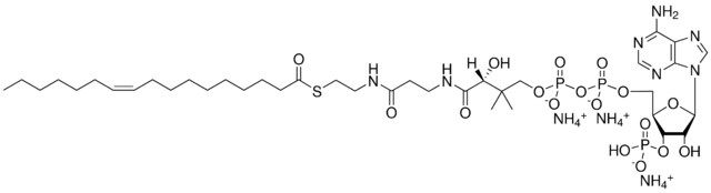 17:1 (n7) Coenzyme A