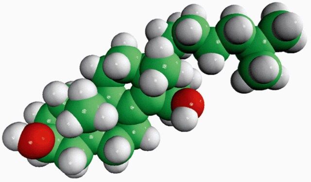 15-hydroxycholestene