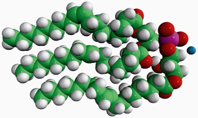 18:1 Hemi BMP (S,R)