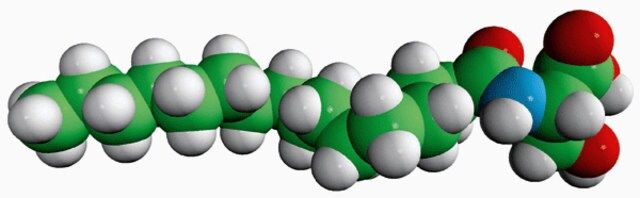 N-16:0 L-Serine