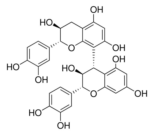 Procyanidin B3