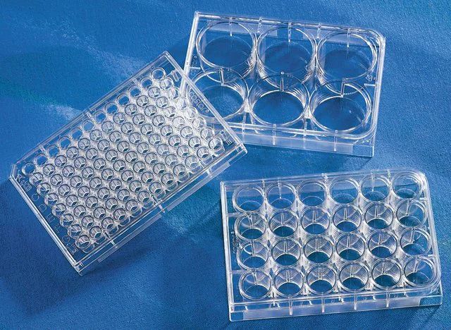 Corning<sup>®</sup> 96 Well TC-Treated Microplates