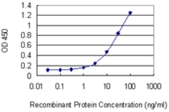 Monoclonal Anti-RHOQ antibody produced in mouse