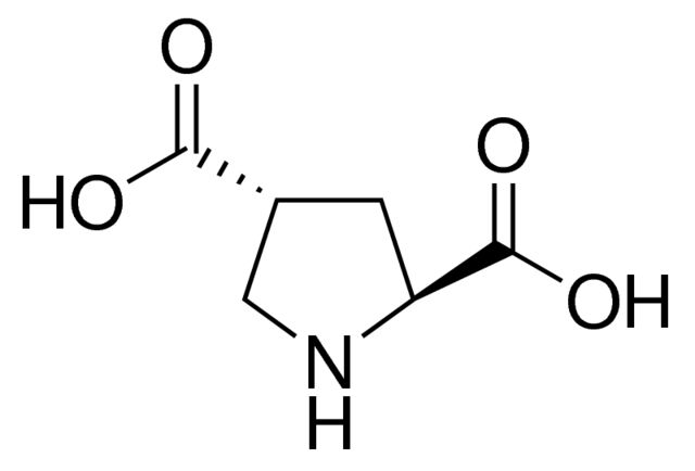 <sc>L</sc>-<i>trans</i>-Pyrrolidine-2,4-dicarboxylic acid