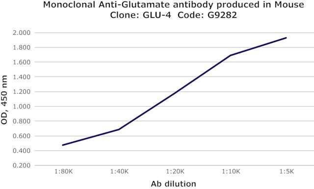 Monoclonal Anti-Glutamate antibody produced in mouse