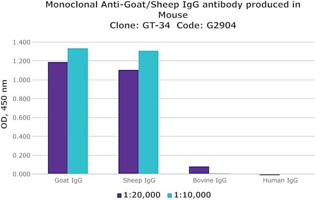 Monoclonal Anti-Goat/Sheep IgG antibody produced in mouse