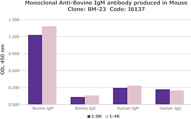 Monoclonal Anti-Bovine IgM antibody produced in mouse