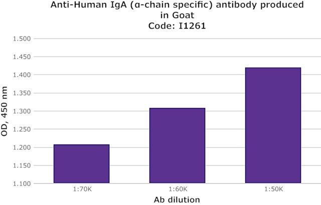 Anti-Human IgA (-chain specific) antibody produced in goat