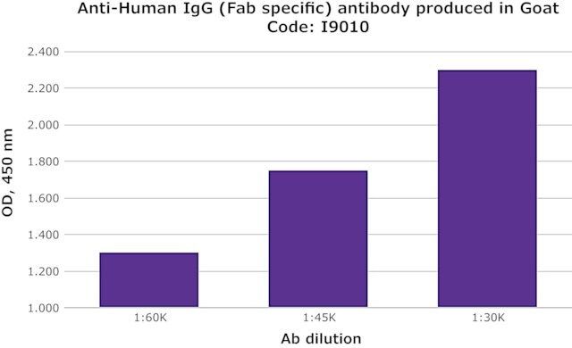 Anti-Human IgG (Fab specific) antibody produced in goat