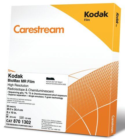 Carestream<sup>®</sup> BioMax<sup>®</sup> MR film