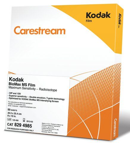 Kodak<sup>®</sup> BioMax<sup>®</sup> MS film