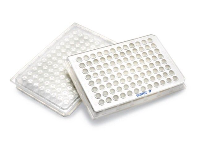 MultiScreen-BV Filter Plate, 1.2 m, opaque, non-sterile