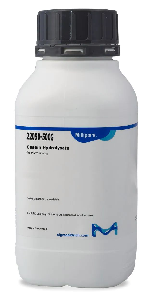 Casein hydrolysate