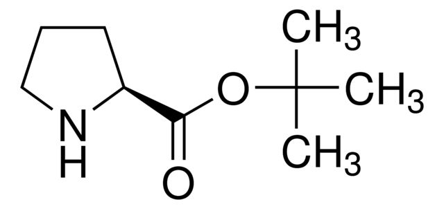 <sc>L</sc>-Proline t-butyl ester