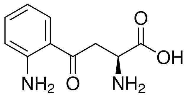 <sc>L</sc>-Kynurenine