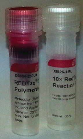 REDTaq<sup>®</sup> DNA Polymerase