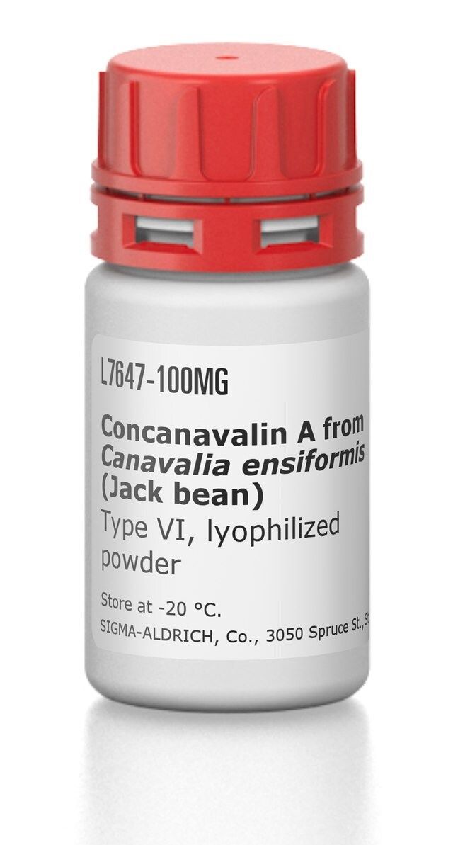 Concanavalin A from <i>Canavalia ensiformis</i> (Jack bean)