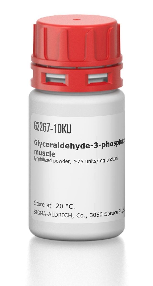 Glyceraldehyde-3-phosphate Dehydrogenase from rabbit muscle