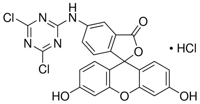 5-([4,6-Dichlorotriazin-2-yl]amino)fluorescein hydrochloride