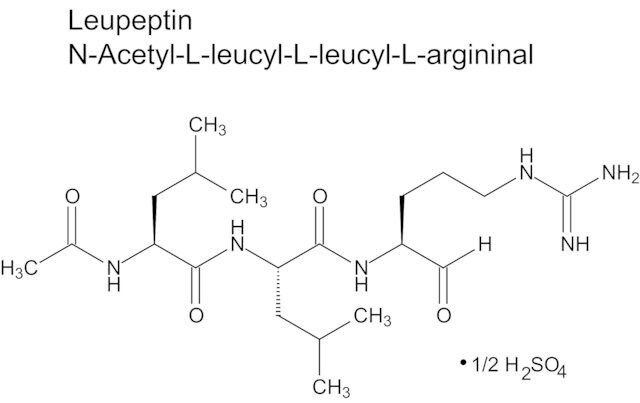 Leupeptin