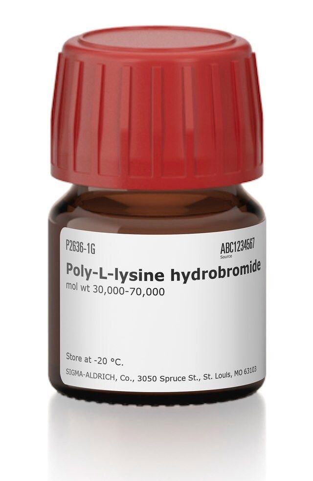 Poly-<sc>L</sc>-lysine hydrobromide