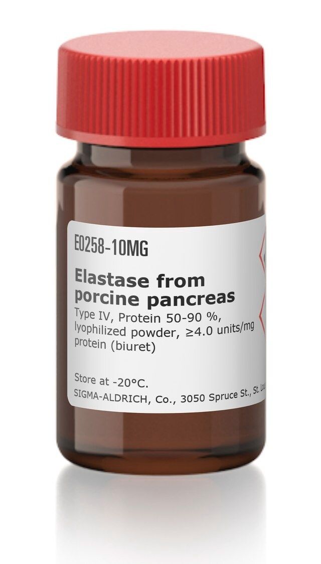 Elastase from porcine pancreas