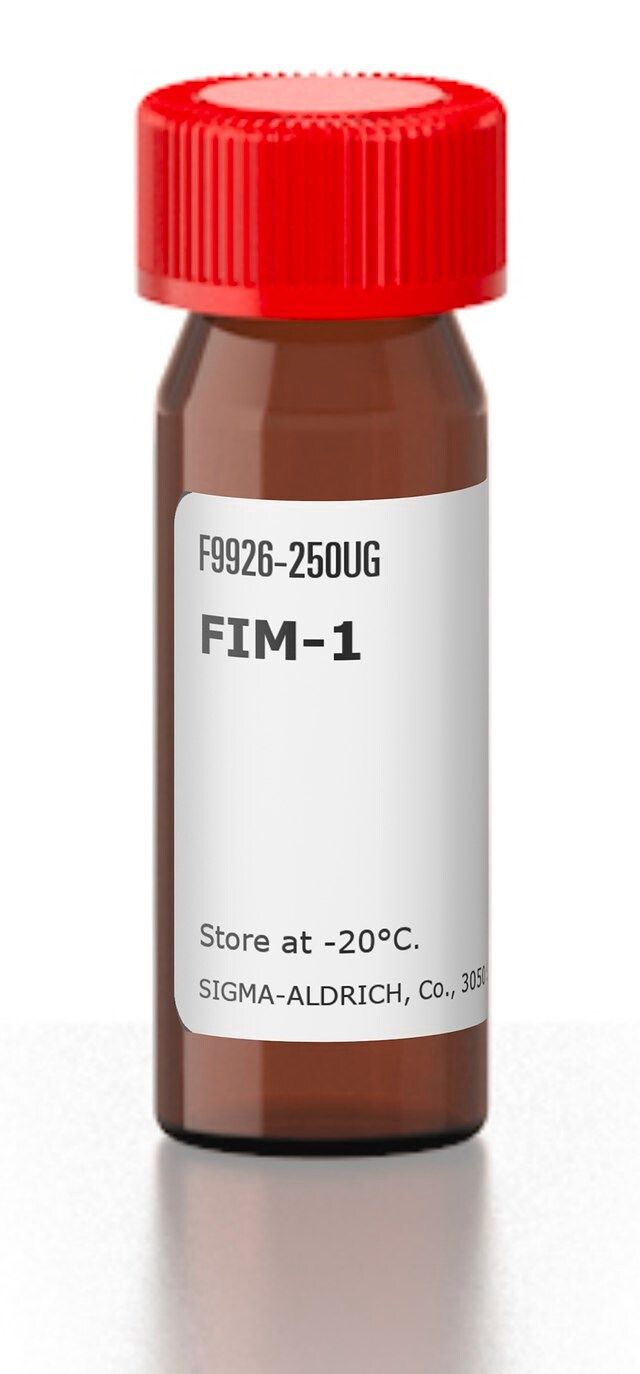 FIM-1