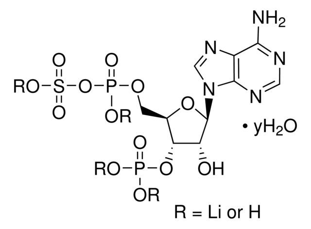 Adenosine 3-phosphate 5-phosphosulfate lithium salt hydrate