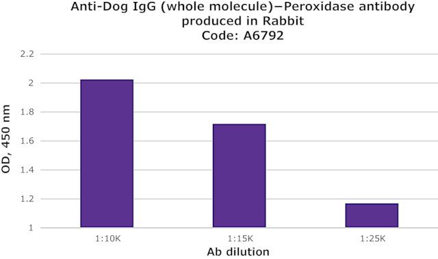 Anti-Dog IgG (whole molecule)-Peroxidase antibody produced in rabbit