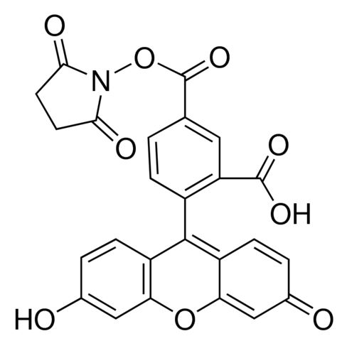 5-Carboxyfluorescein <i>N</i>-succinimidyl ester