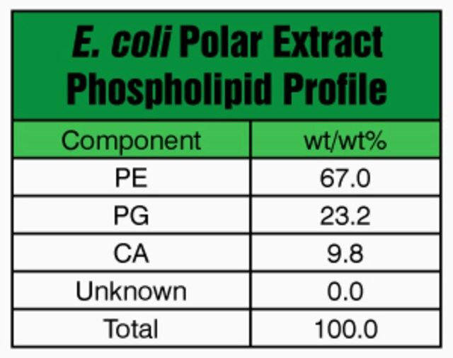 <i>E. coli</i> Extract Polar