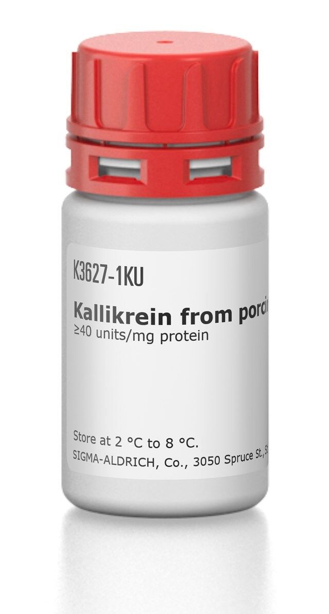 Kallikrein from porcine pancreas