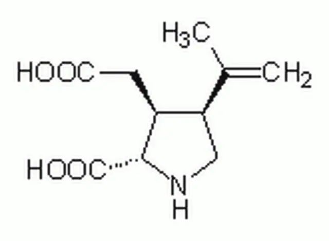 Kainic Acid-CAS 487-79-6-Calbiochem