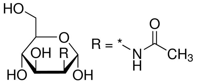 N-Acetyl-<sc>D</sc>-mannosamine