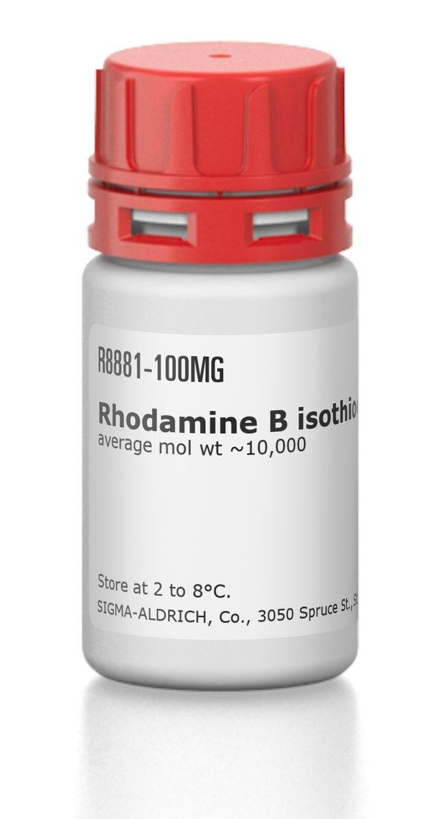 Rhodamine B isothiocyanateCDextran