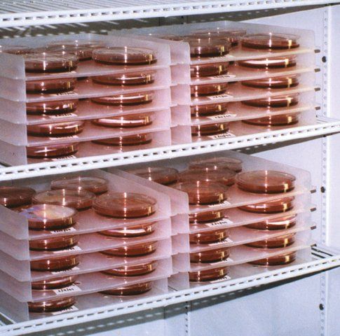 Scienceware<sup>®</sup> petri dish incubation tray