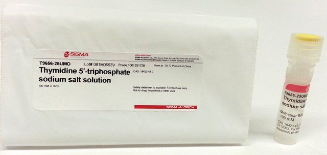 Thymidine 5-triphosphate sodium salt solution