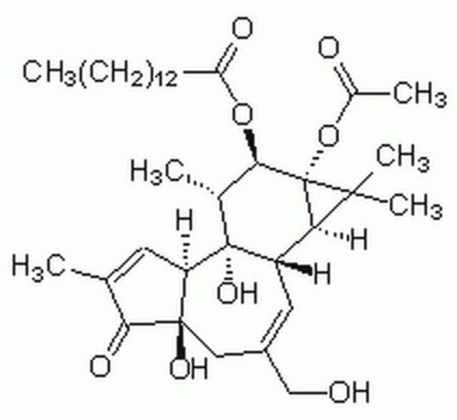 Phorbol-12-myristate-13-acetate-CAS 16561-29-8-Calbiochem