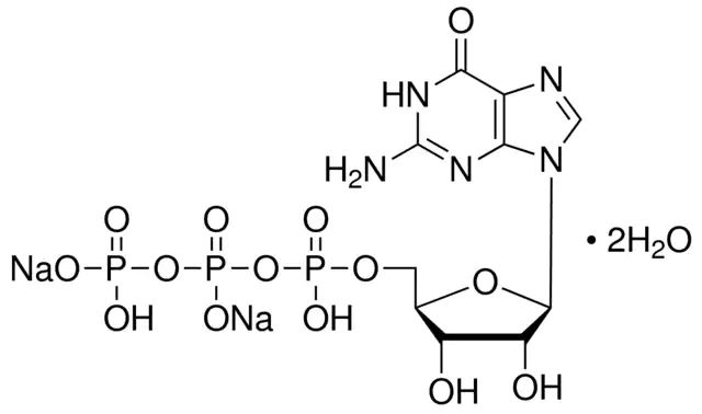 Guanosine 5-triphosphate sodium salt hydrate