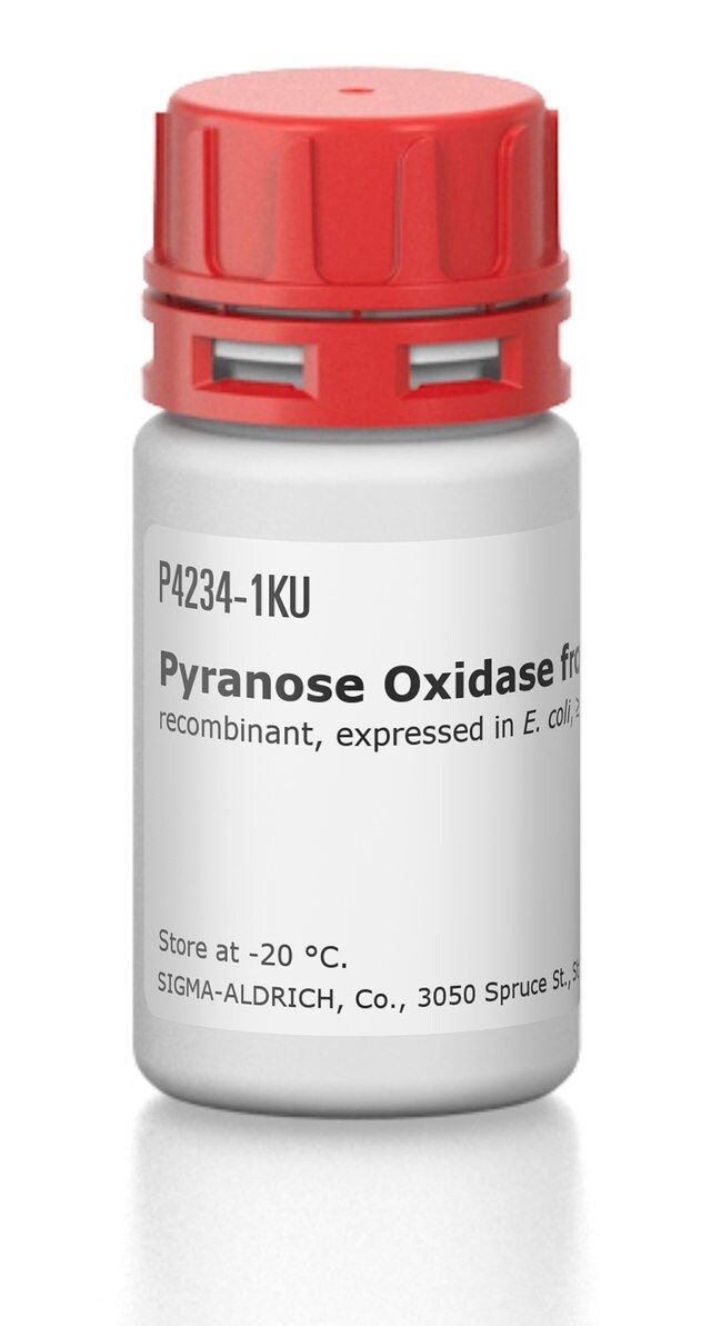 Pyranose Oxidase from <i>Coriolus</i> sp.