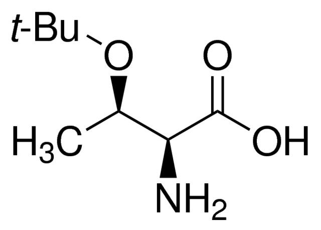 <i>O</i>-<i>tert</i>-Butyl-<sc>L</sc>-threonine