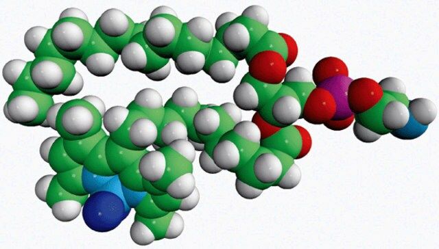 TopFluor<sup>®</sup> PE