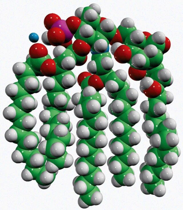 3D-PHAD<sup>®</sup>