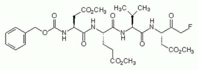 Caspase-3 Inhibitor II-CAS 210344-95-9-Calbiochem