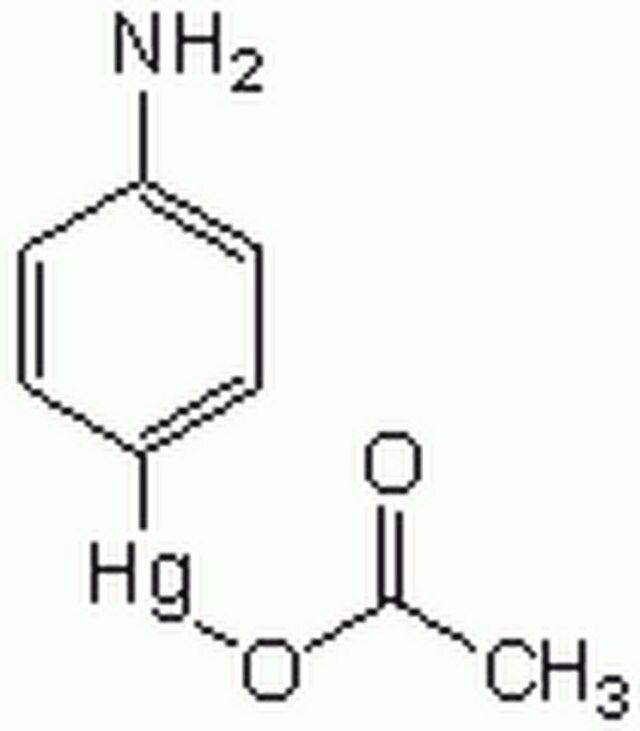 <i>p</i>-Aminophenylmercuric Acetate-CAS 6283-24-5-Calbiochem