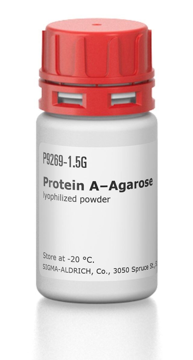 Protein ACAgarose